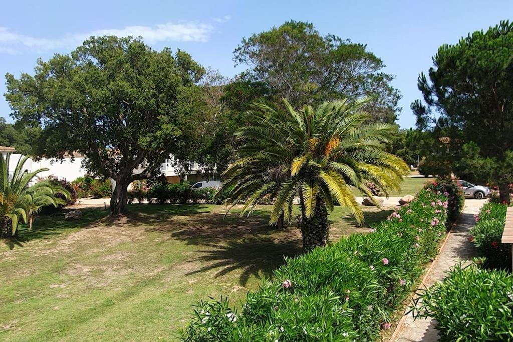 Fiori Di Cala Rossa Appartement T3 Dans Residence Hotelliere Chez Virginie Lecci Eksteriør billede